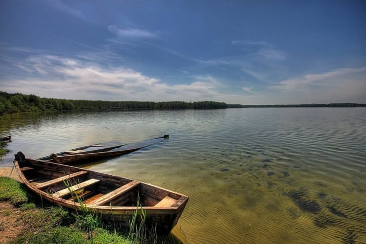 SVITYaZ_FOTO_myukraine