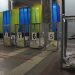 голосування вибори місцеві вибори