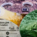 каналізація