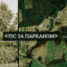 Ліс біля села Лище