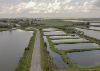 ставки у Несвічі аерозйомка