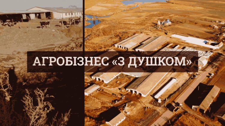Тваринницький комплекс