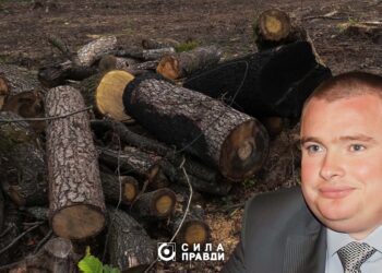 Справу Романа Колісника про вирубку в Цуманскій пущі реанімували.