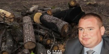 Справу Романа Колісника про вирубку в Цуманскій пущі реанімували.