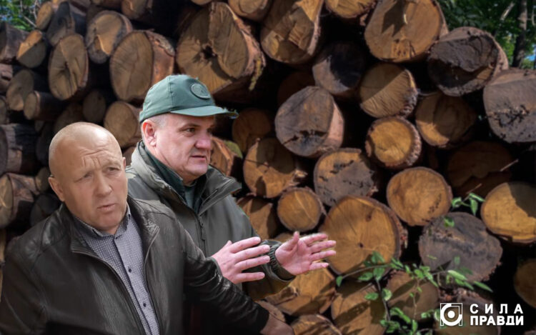Рубка в Цуманській пущі