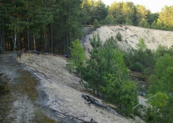 Старо-Вижівське родовище