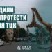 Ковель суд