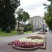 Квіти, клумба, квітник, Луцьк