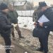 Незаконна рубка, прикордонник