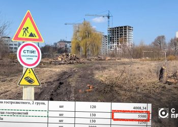 Реконструкція лугопарку на Набережній. Колаж ЦЖР «Сила правди»
