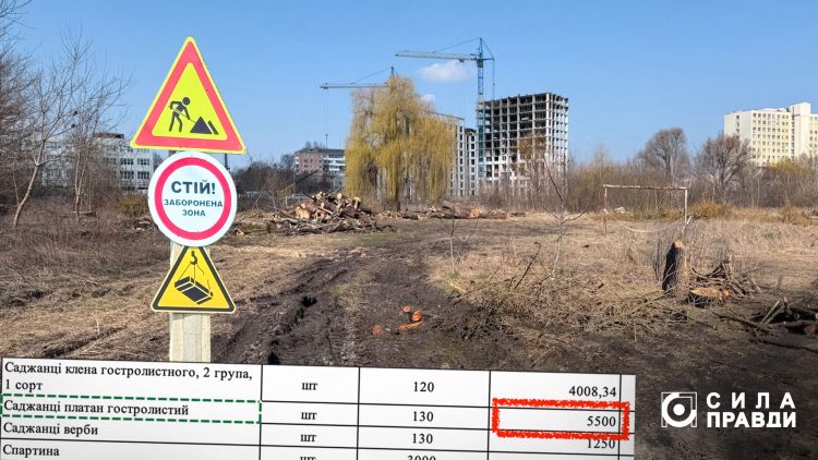 Реконструкція лугопарку на Набережній. Колаж ЦЖР «Сила правди»