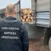 Військовий лісгосп незаконна рубка