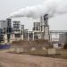 "КРОНОСПАН УА" з Нововолинська заявив про намір будувати термінал у Вишнівській громаді
