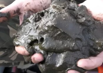 У гонитві за волинським сапропелем дві фірми порушили Закон. Джерело: seeds.org.ua.