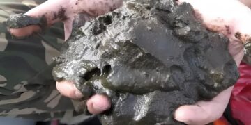 У гонитві за волинським сапропелем дві фірми порушили Закон. Джерело: seeds.org.ua.