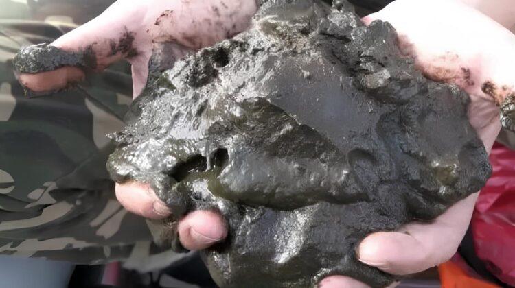 У гонитві за волинським сапропелем дві фірми порушили Закон. Джерело: seeds.org.ua.