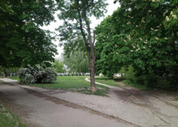 Ділянку на вул. Ветеранів у Луцьку продали з аукціону за 16 млн