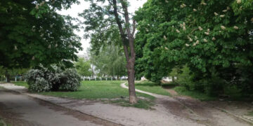 Ділянку на вул. Ветеранів у Луцьку продали з аукціону за 16 млн