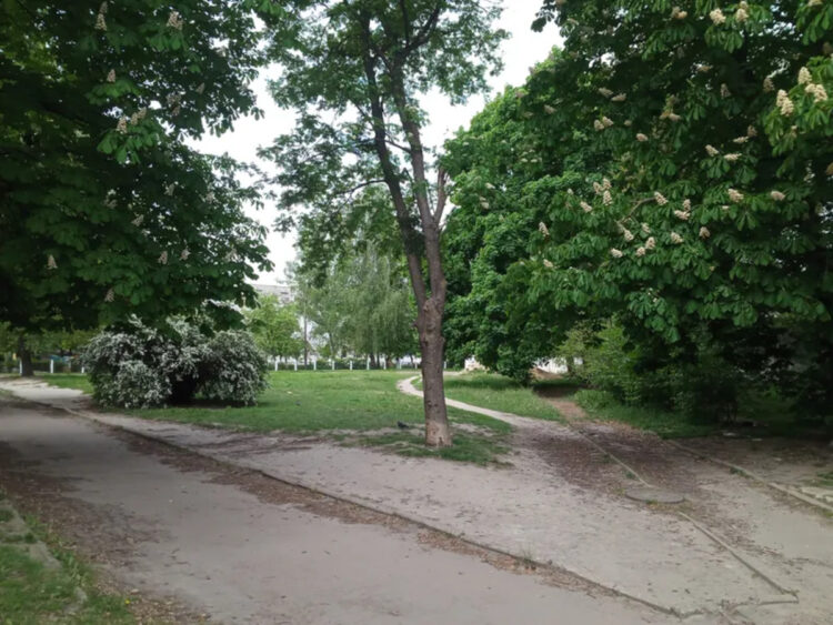 Ділянку на вул. Ветеранів у Луцьку продали з аукціону за 16 млн