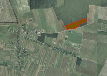 Аукціон на право оренди ділянки 12 га в Горохівській громаді біля Озерців у 2025 році