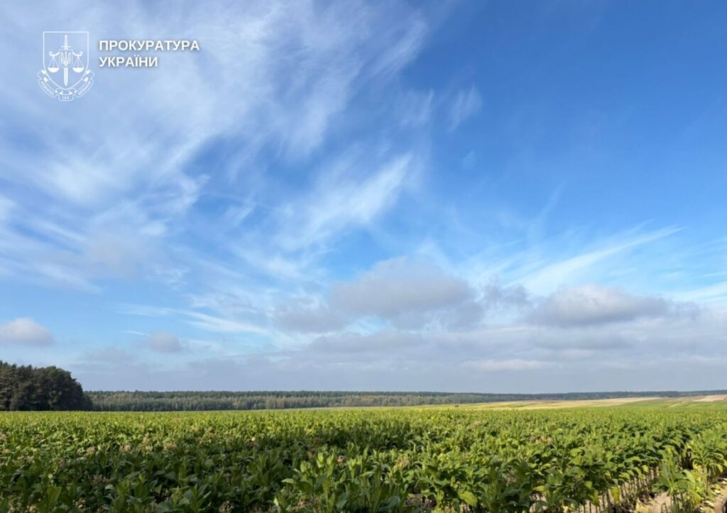 У прикордонні на Волині виявили незаконне вирощування та цехи з обробки тютюну