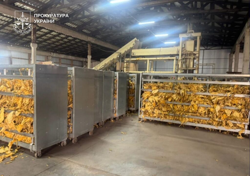 У прикордонні на Волині виявили незаконне вирощування та цехи з обробки тютюну