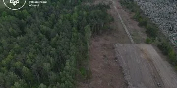 На Волині виявили незаконну вирубку дерев на понад 16,5 мільйонів гривень - у Ковельському районі